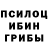 Псилоцибиновые грибы Magic Shrooms Tolya Fox