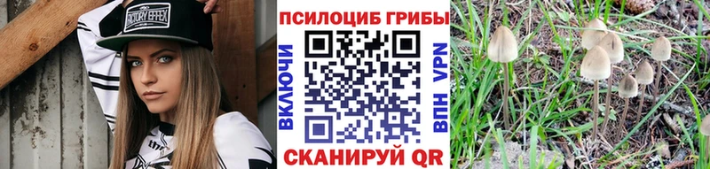 Псилоцибиновые грибы прущие грибы Кунгур