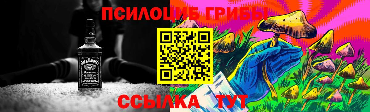 Кунгур  Галлюциногенные грибы Psilocybe  Вход с VPN  Псилоцибиновые грибы GOLDEN TEACHER 