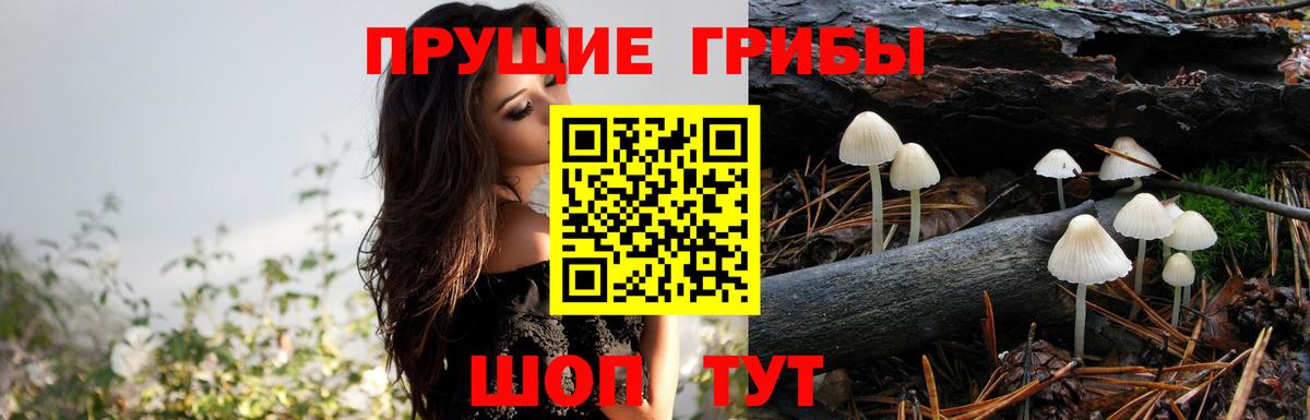 Галлюциногенные грибы GOLDEN TEACHER Кунгур